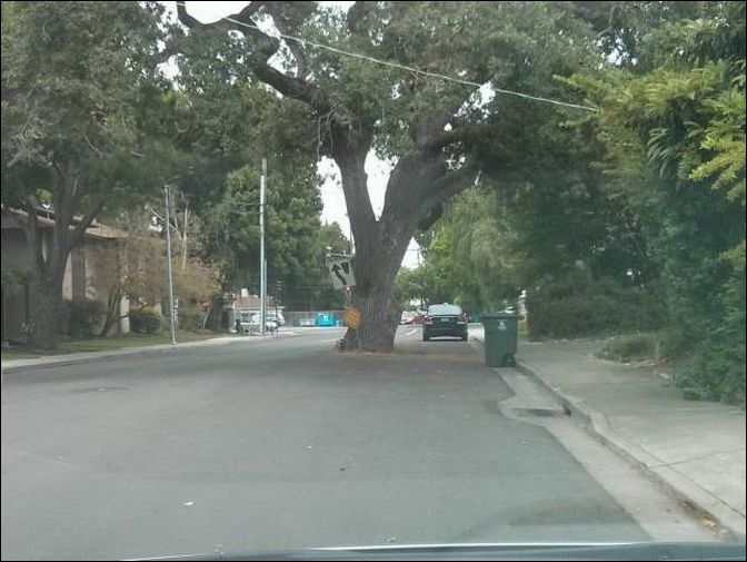 фото приколы