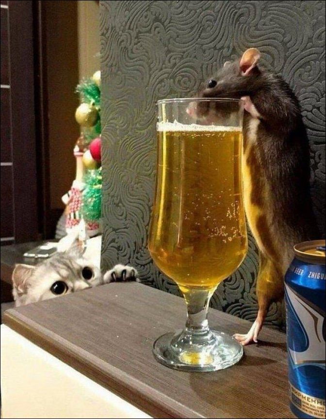 фото приколы