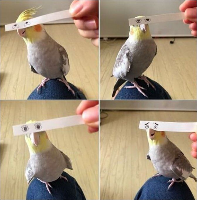 фото приколы