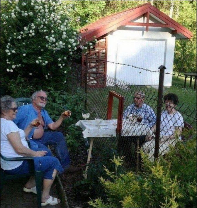 фото приколы