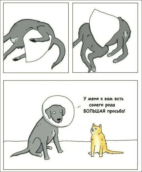 комиксы и карикатуры