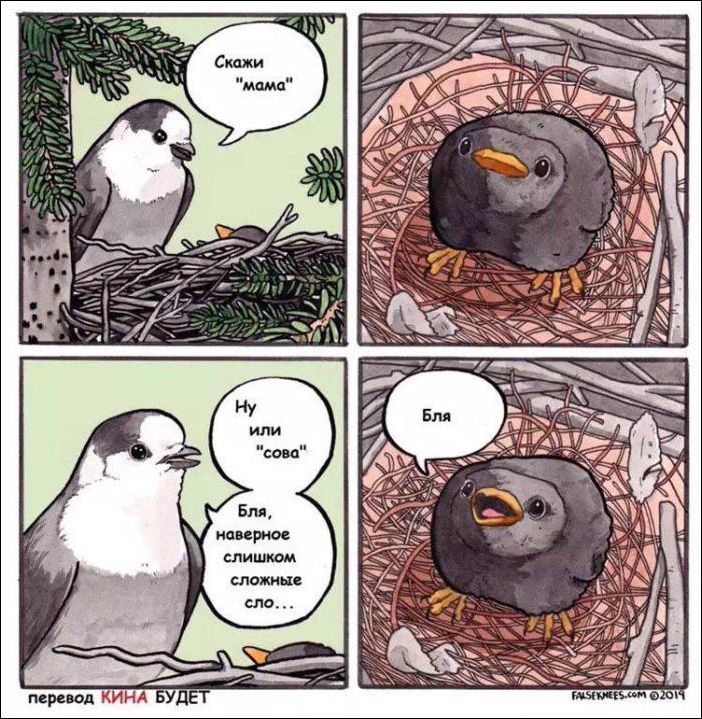 комиксы и карикатуры