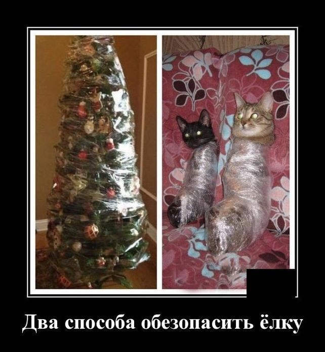 демотиватор