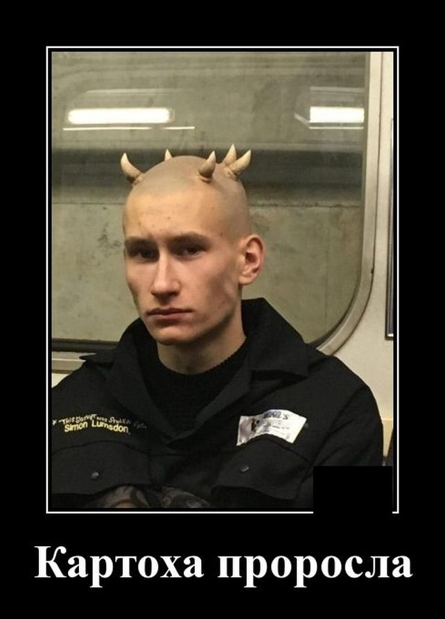 демотиватор