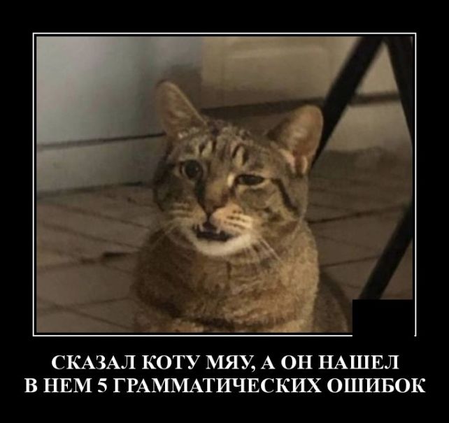 демотиватор