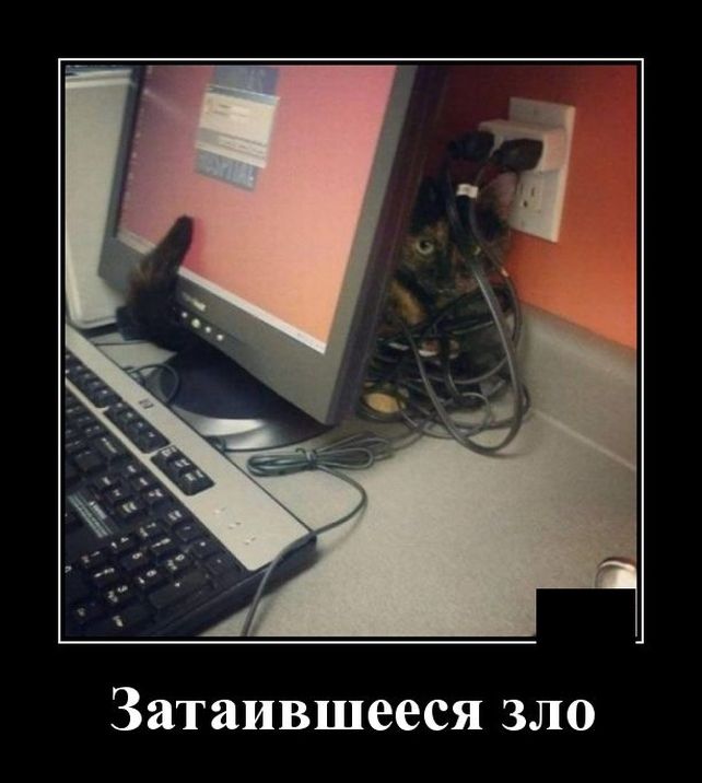 демотиватор