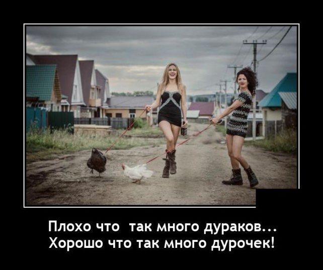 демотиватор