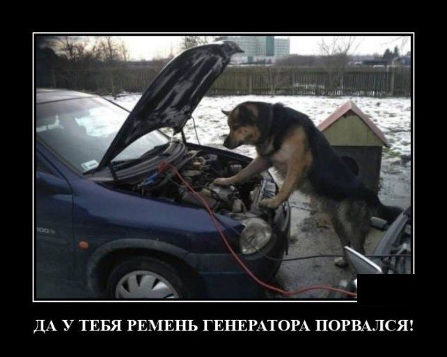 демотиватор