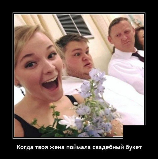 демотиватор