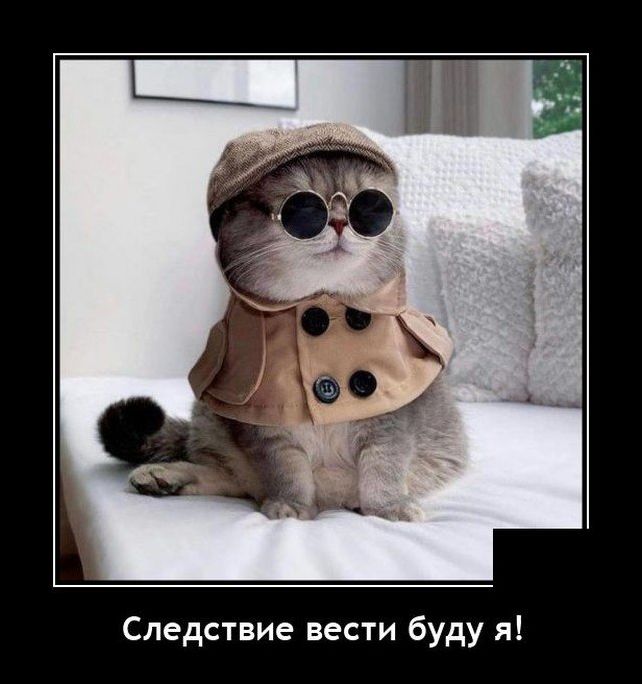 демотиватор