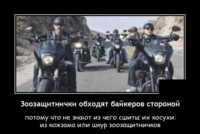 демотиватор