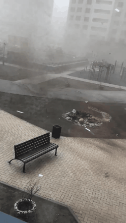 Прикольные гифки