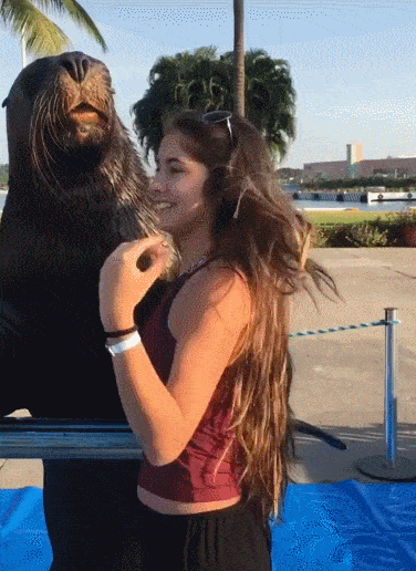 Прикольные гифки