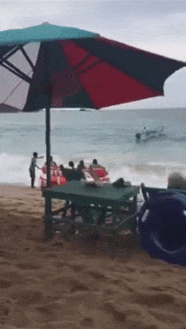 Прикольные гифки