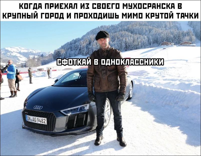 прикольные картинки