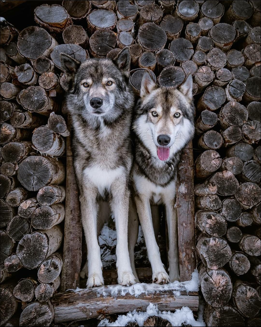 фото приколы