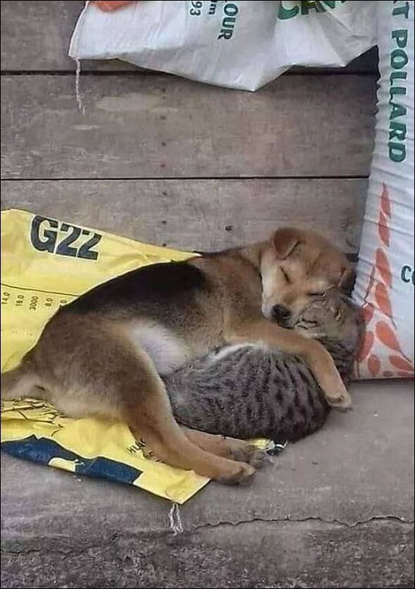 фото приколы