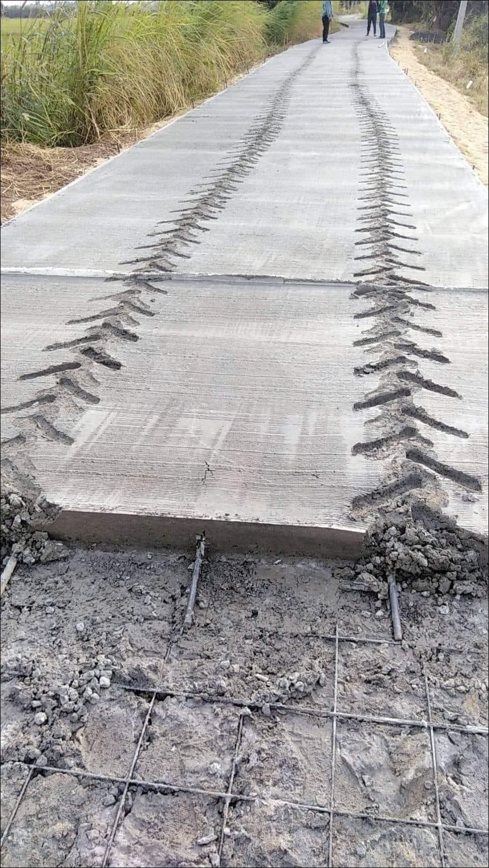 фото приколы