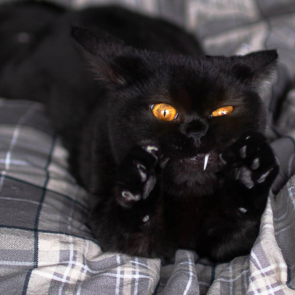 фото приколы