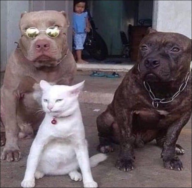 фото приколы