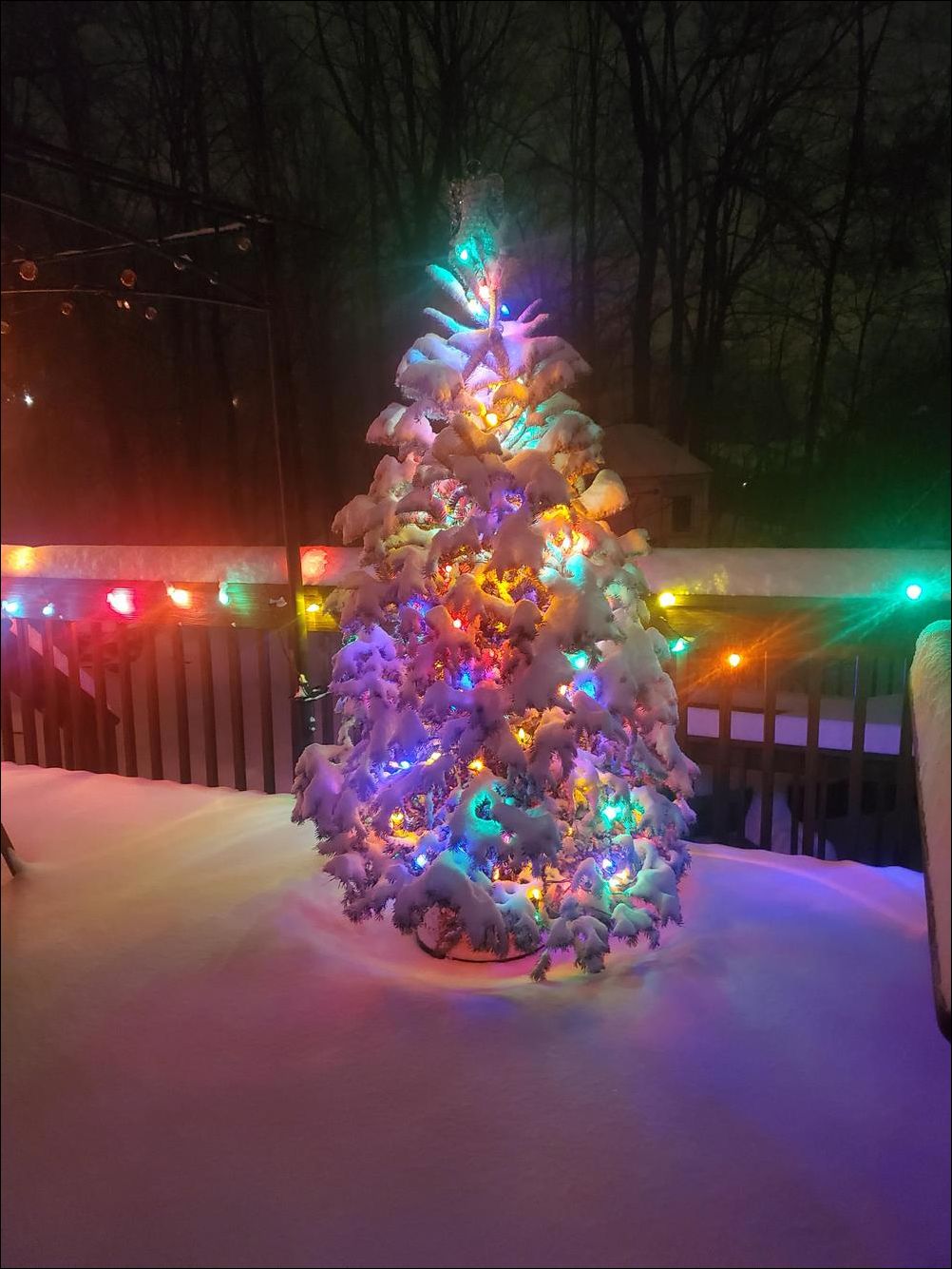 фото приколы