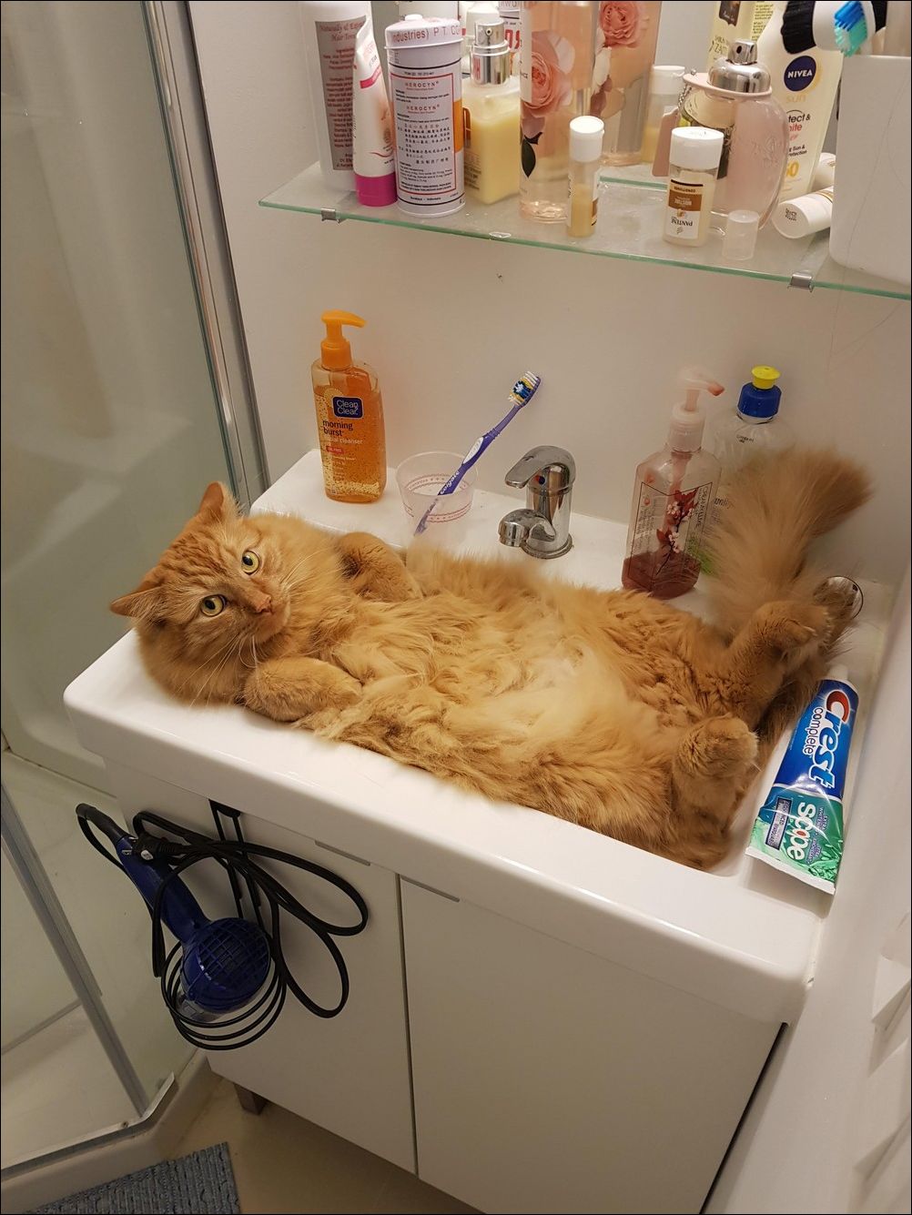 фото приколы