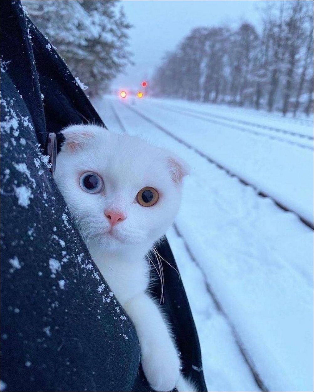 фото приколы