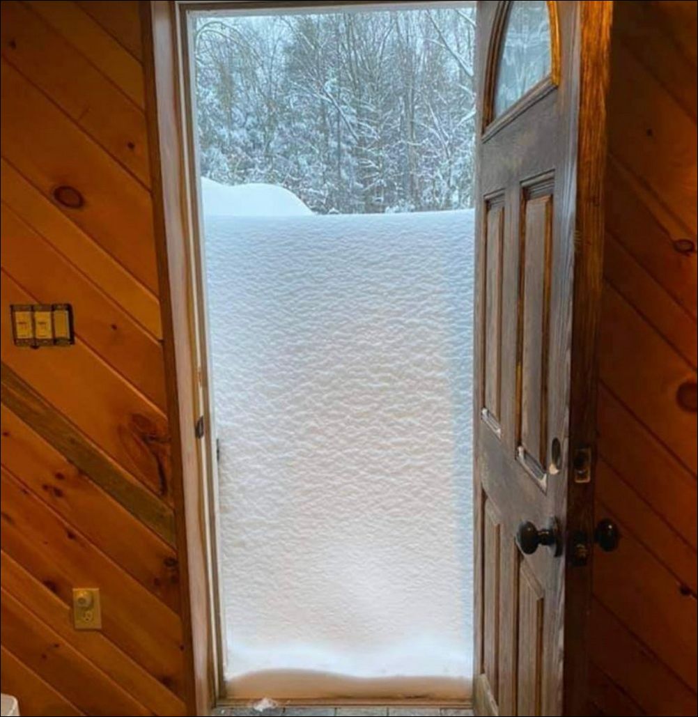 фото приколы