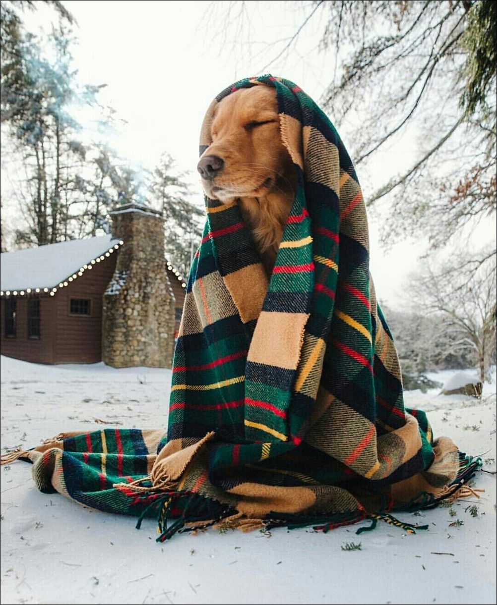 фото приколы