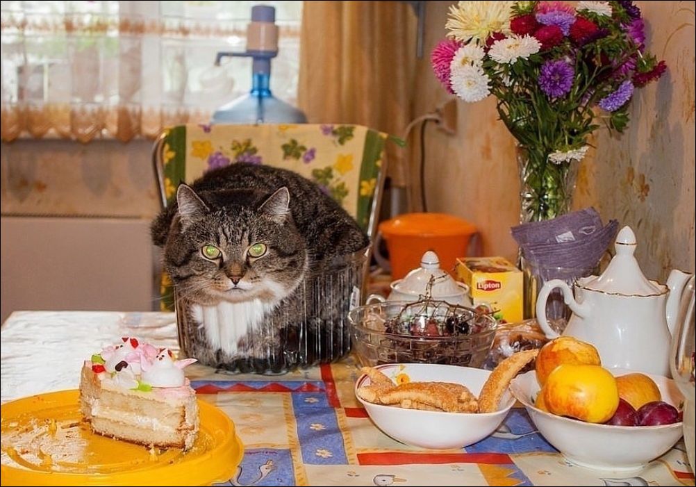 фото приколы