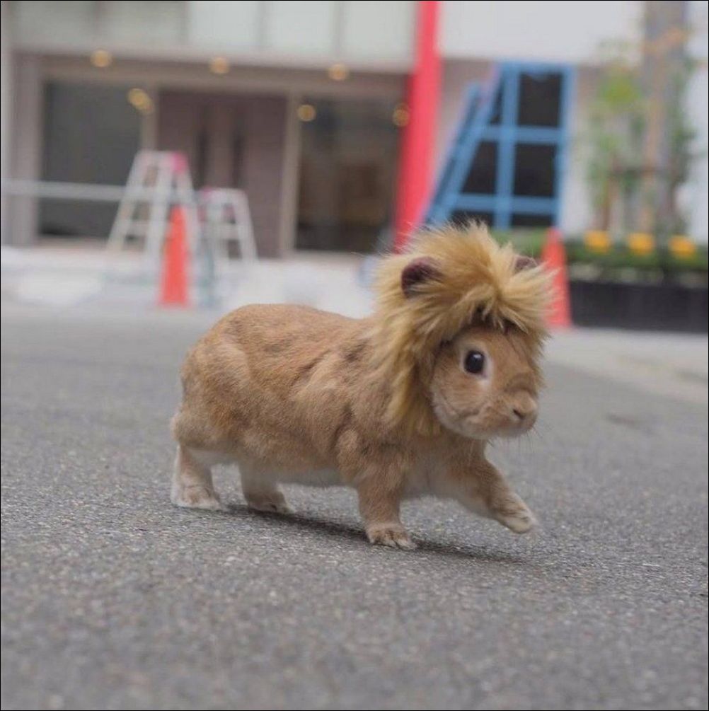 фото приколы