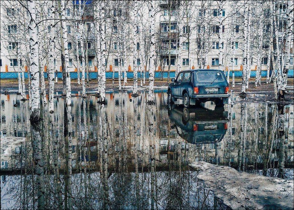 фото приколы