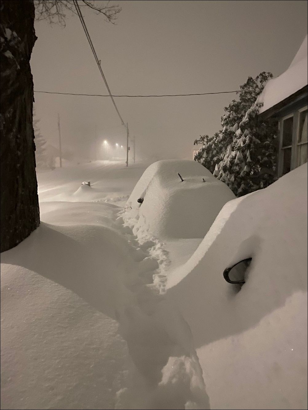 фото приколы