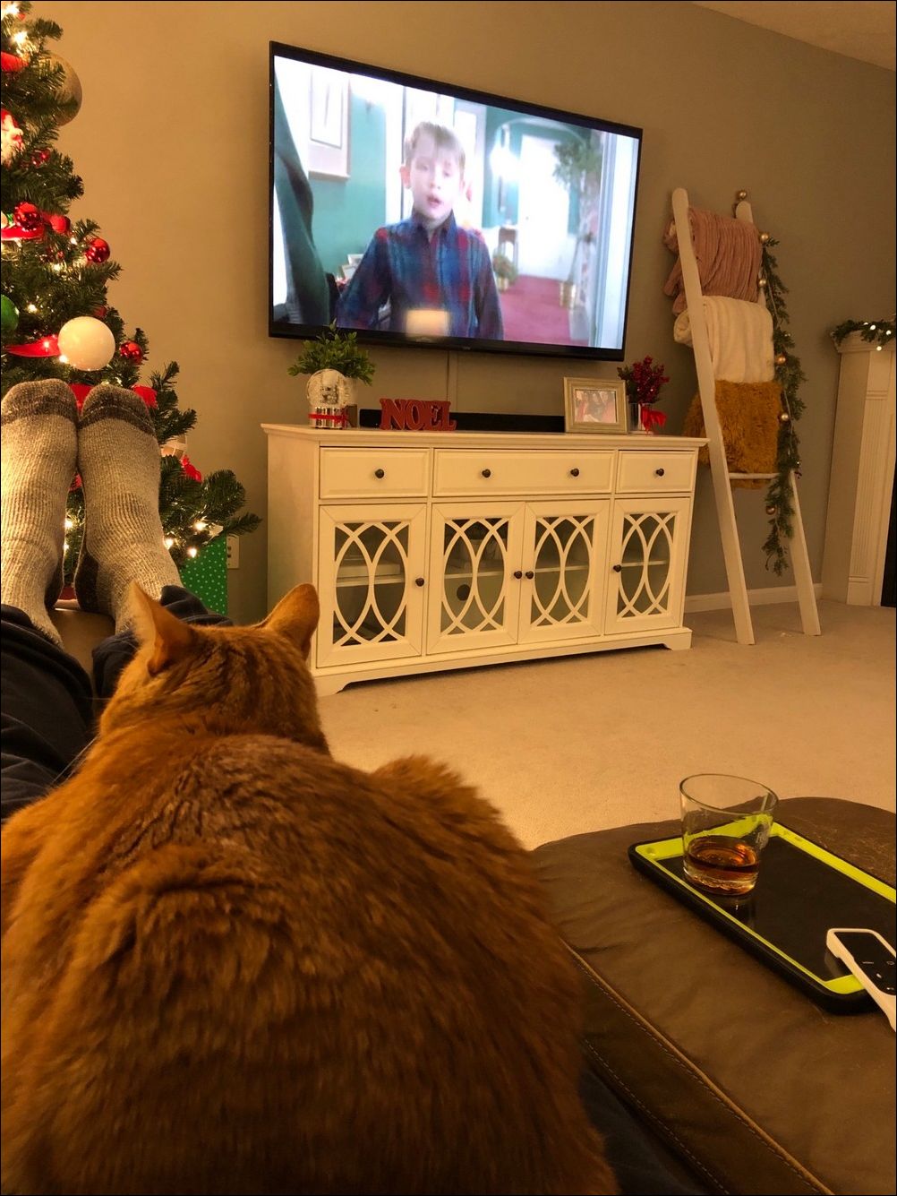 фото приколы