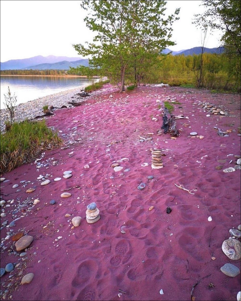 фото приколы