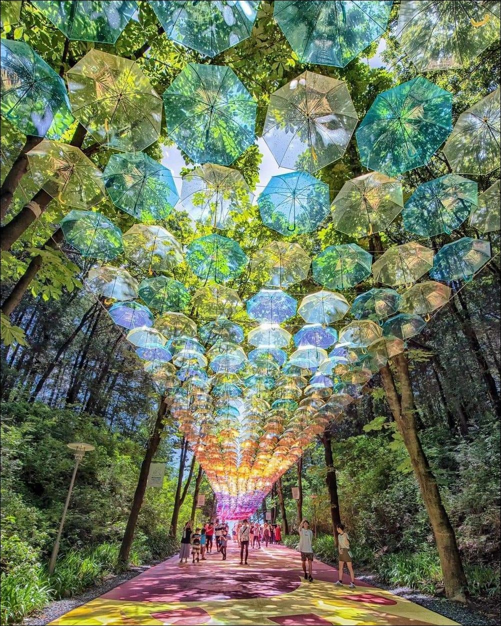 фото приколы