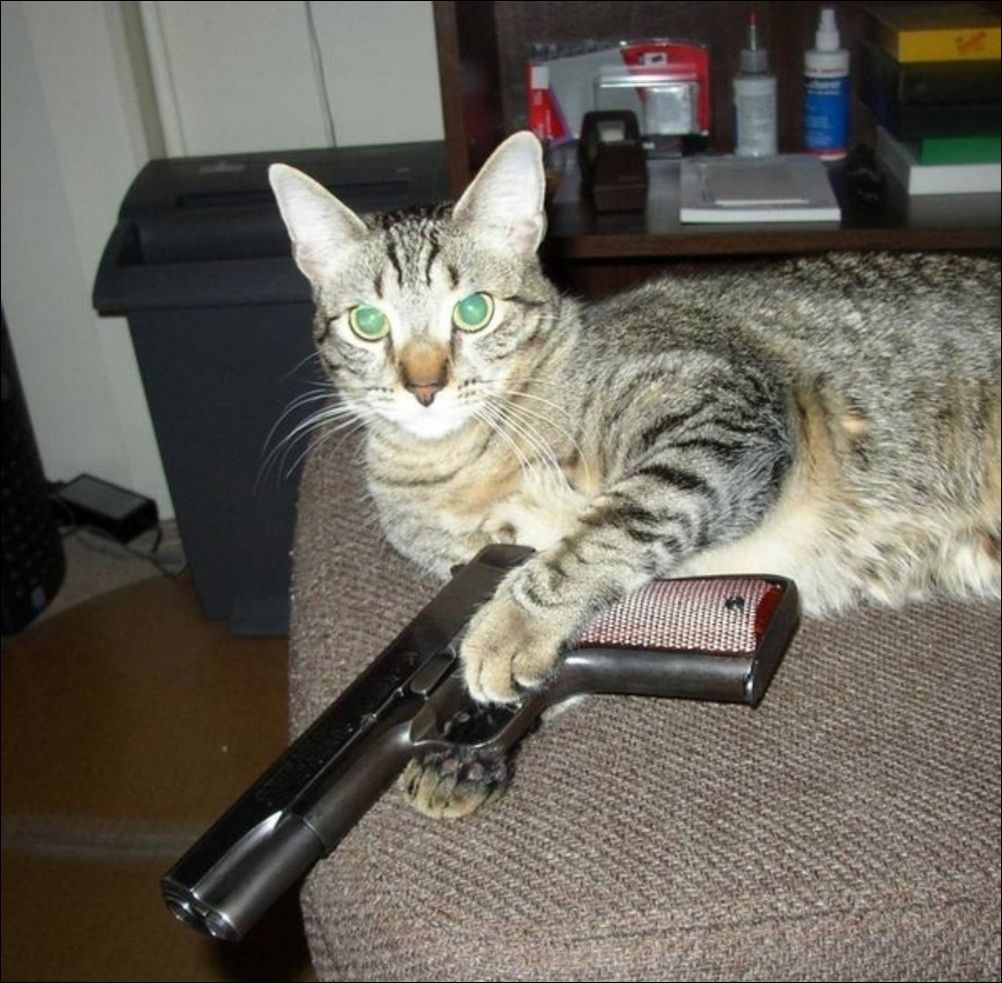 фото приколы