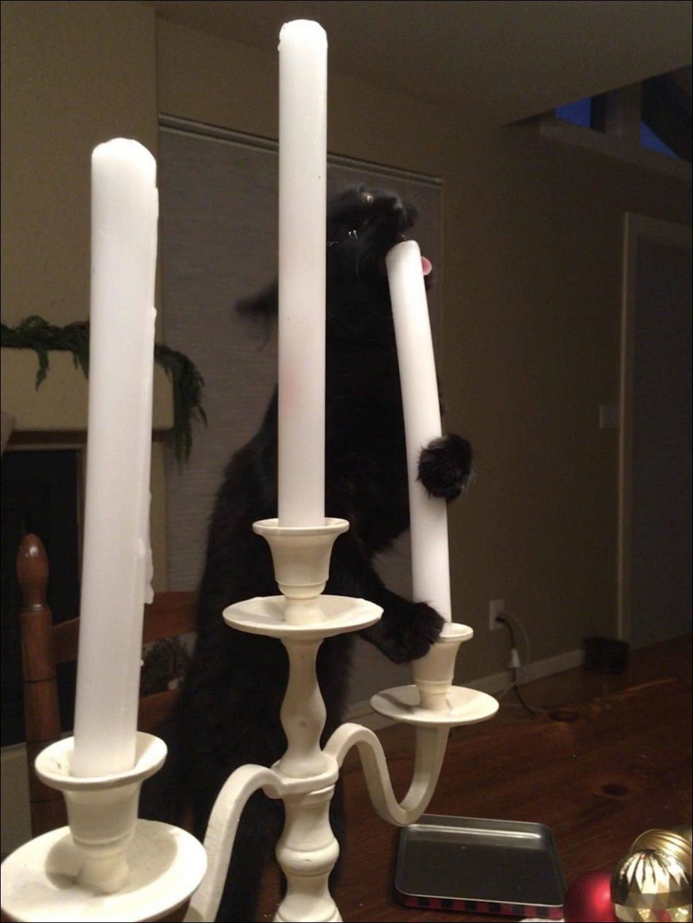 фото приколы