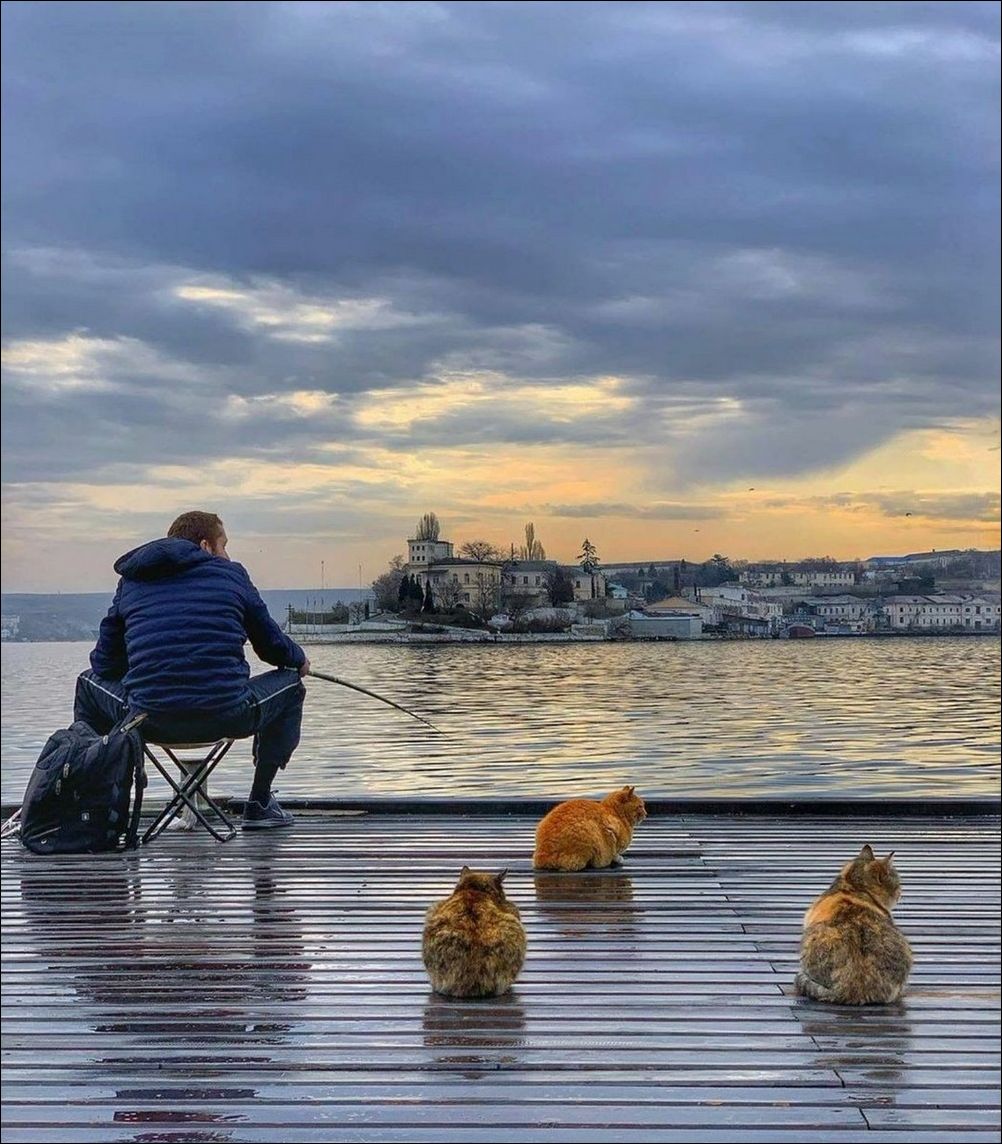 фото приколы