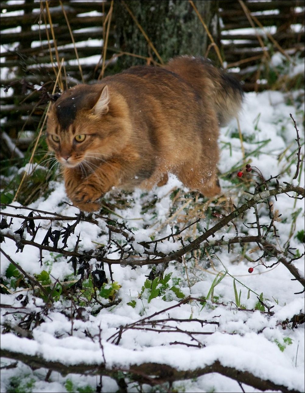 фото приколы