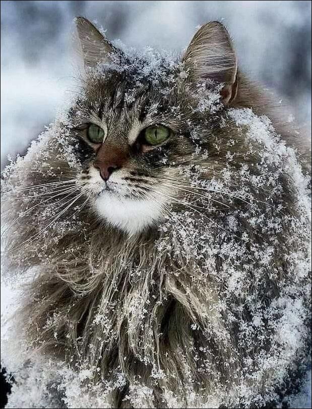 фото приколы