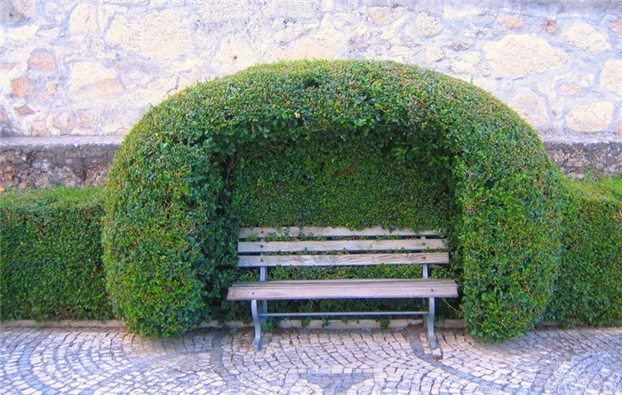 fotoprikol-120210-07