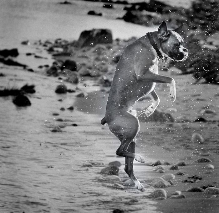 fotoprikol-120210-10