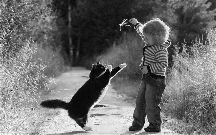 fotoprikol-120210-13