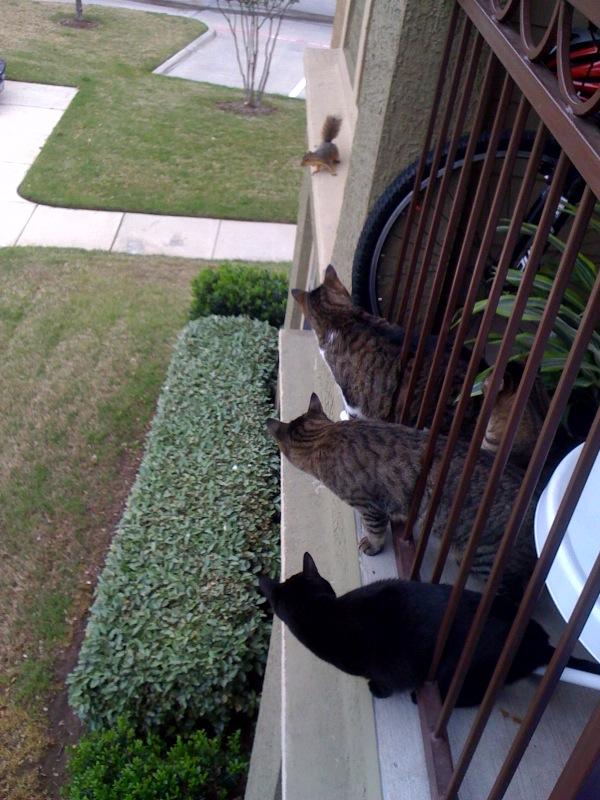 fotoprikol-120210-55