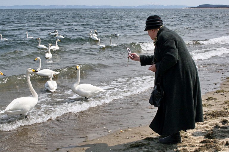 fotoprikol-120210-69