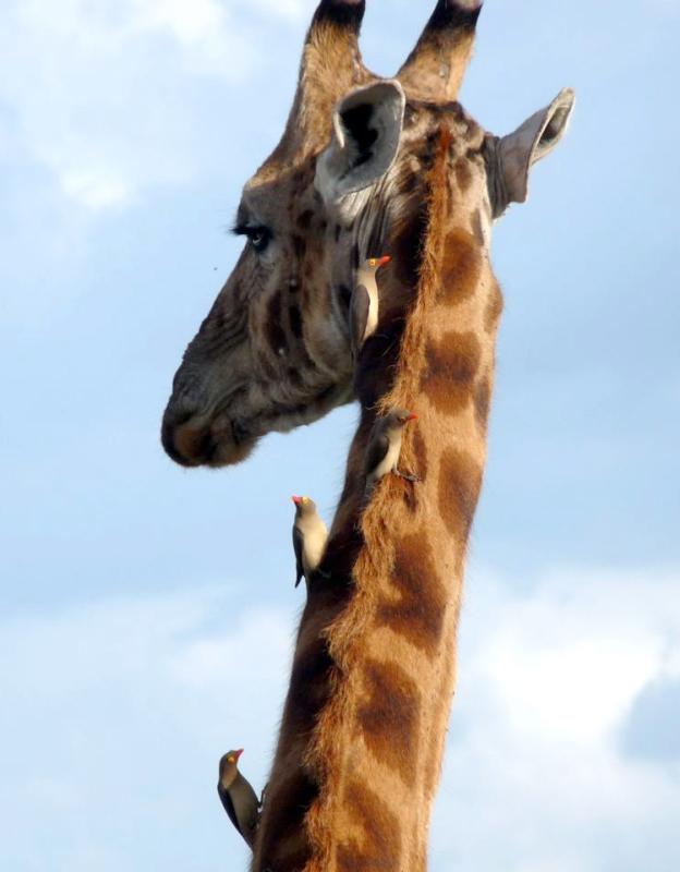 fotoprikol-120210-72