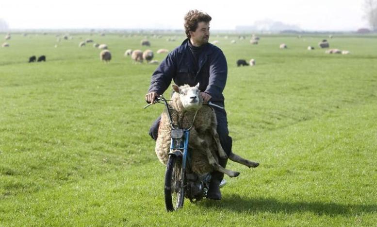 fotoprikol-120210-73