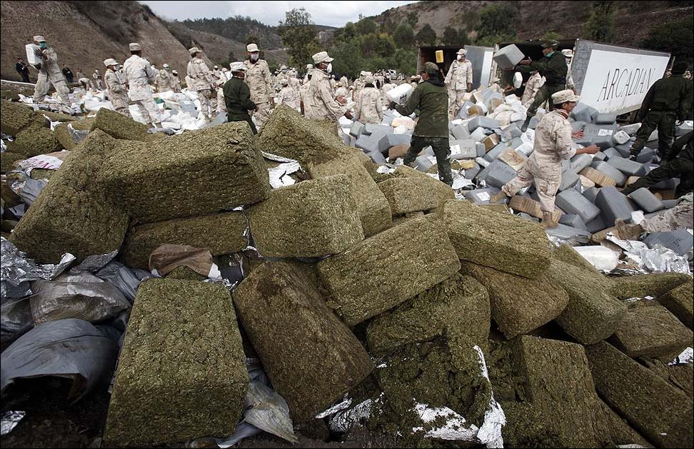 Тонны марихуаны фото россия марихуана декриминализована