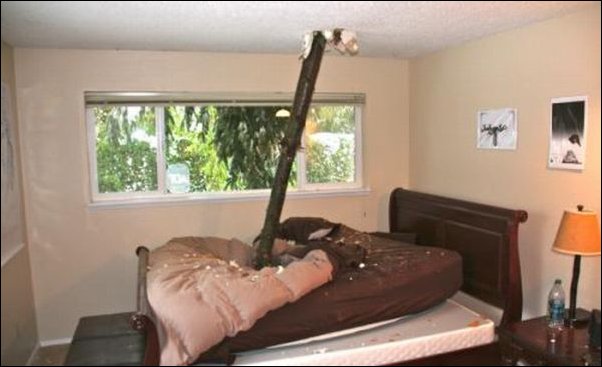 Обломившаяся ветка пробила крышу